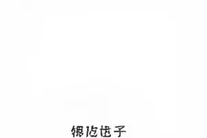 版权归属时间线梳理专题封面，横向时间轴与节点
